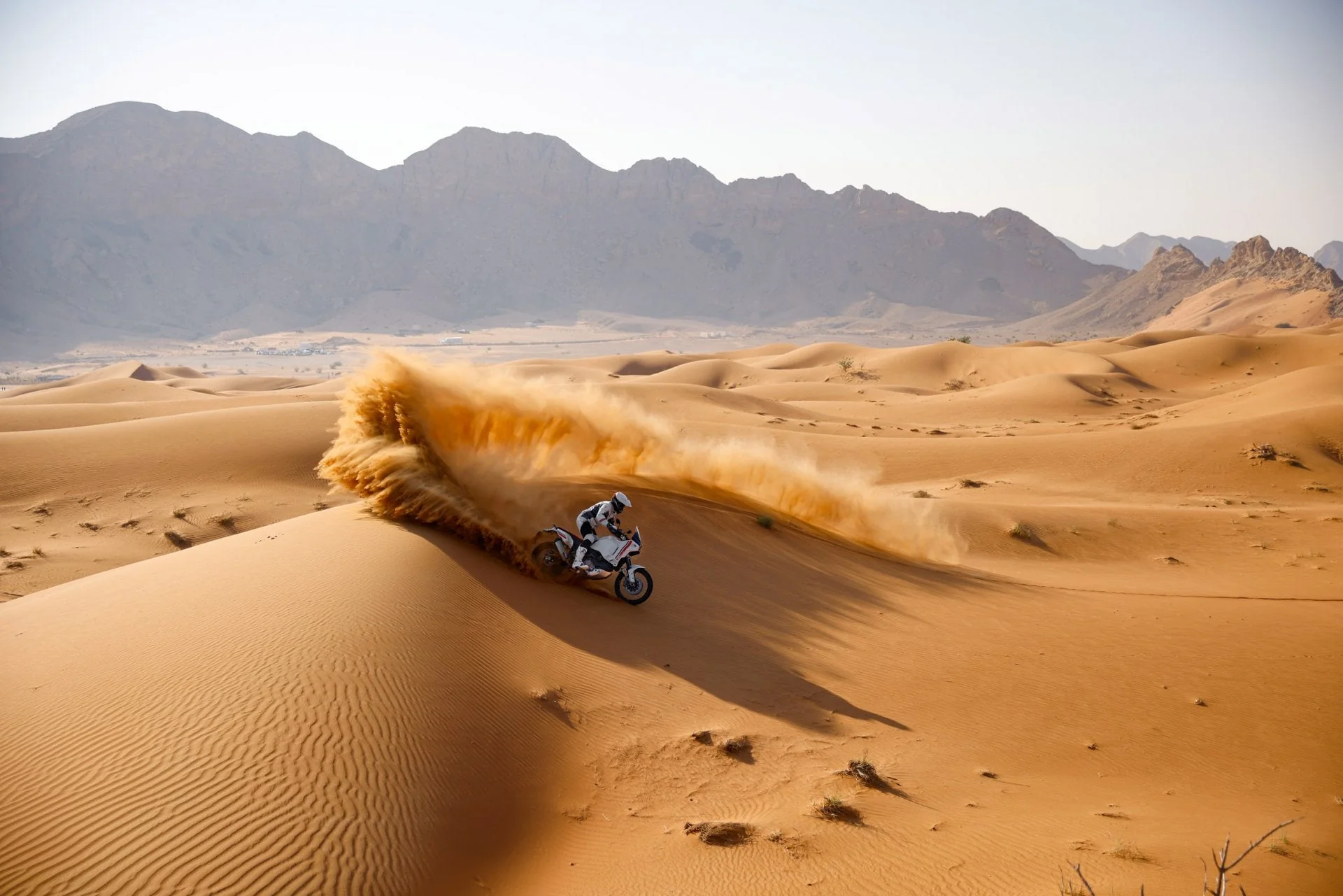 2026 Ducati DesertX - Star White Silk - Image 5